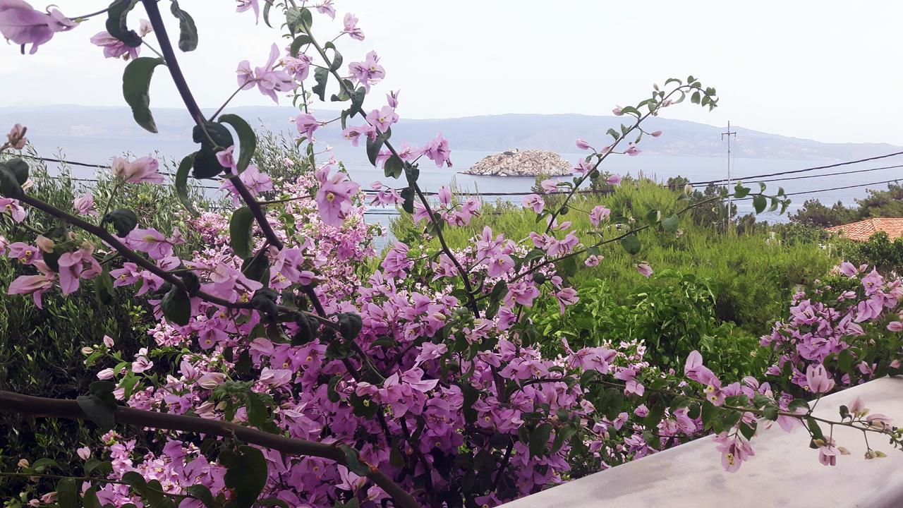 Vlichos Studio Apartment Hydra  Luaran gambar